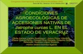 Condiciones agroecologicas de Jatropha en Veracruz, Mexico