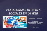 PLATAFORMAS DE REDES SOCIALES EN LA WEB