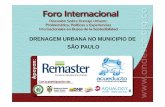 2-Experiencia en Gestión de Drenaje Urbano – Caso Sao Paulo, Brasil