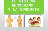 El Sistema Endocrino y la Conducta