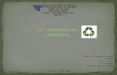 Mapas conceptuales de la conservacion ambiental