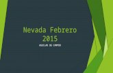Nevada febrero 2015
