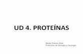 Ud 4 proteinas