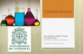 Carbohidratos 48787464.