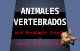 Animales vertebrados Javier y José