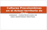 Pueblos Precolombinos Chilenos