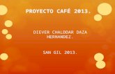 Proyecto café 2013..