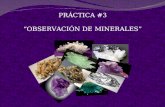 Practica de minerales