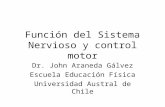 Control Nerviosodelsistemamotor[1]