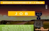 P18 Estudio Panorámico de la Biblia: Job