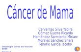 Cancer de Mama 2