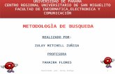 METODOLOGIA DE BUSQUEDA