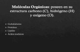 Moleculas organicas