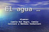 El agua...  Camila Del Negro, Barbara Corbelleri y Camila Callieri
