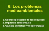 5. los problemas   medioambientales
