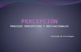 Percepción (organización perceptual y sentido de profundidad