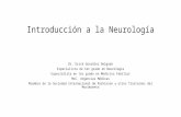 1.1 introducción a la neurología