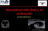 Neurodesarrollo fetal y su evaluación.pdf dr. romel flores virgilio imumr