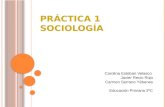 Práctica 1 Sociología