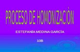 Procesode Humanizacion Stefania Medina Garcia