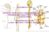 sistema nervioso, neuronas y sistema endocrino