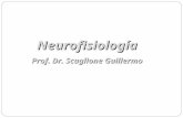 Neurofisiología 1