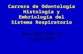Histología y Embriología del Sistema Respiratorio