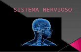 Sistema nervioso.pptx (exposicion)