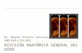 División anatómica general del oído