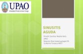 Sinusitis aguda dr Fonseca Otorrinolaringología UPAO