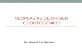 Neoplasia de origen odontogenico