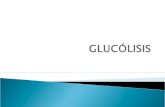 Glucólisis va sencillo