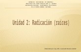 Unidad II Radicación