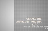 Geraldine amariles medina 11°c 04 noviembre (1)