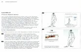 Ilustración digital de moda   kevin tallon - resumen cap 2 y 3