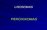 Pres 16-peroxisoma slisosomas301,