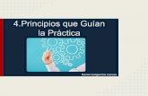 4.principios que guían la práctica