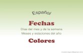Fechas . Colores