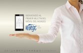 Wings presentation 1 (Español)
