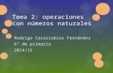 Tema 2:Operaciones con números naturales