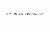 Aparto cardiovascular expo 23 02-12