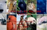 Especies en peligro exóticas