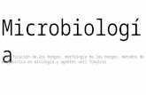 Micologia  clasificacion, morfologia y diagnostico
