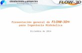 Presentacion flow3d hidraulica