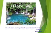 Ecosistemas y factores que influyen