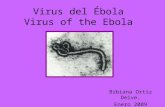 Virus del Ébola, B.O.