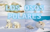 Osos polares y Plantas carnívoras. (Ana González y María José Ortega)