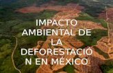 Impacto ambiental de la deforestación en México