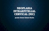 Neoplasia intraepitelial cervical (nic)