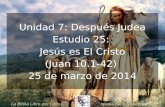 25 jesus es_el_cristo (Estudio Bíblico en el Evangelio de Juan)
